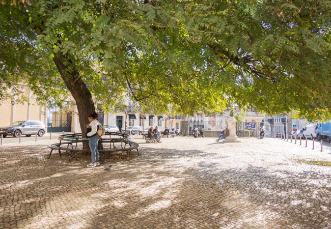 Apartamento en Lisboa ciudad - Nomad's Fine Arts in Chiado Apartamento en Lisboa ciudad - Nomad's Fine Arts in Chiado