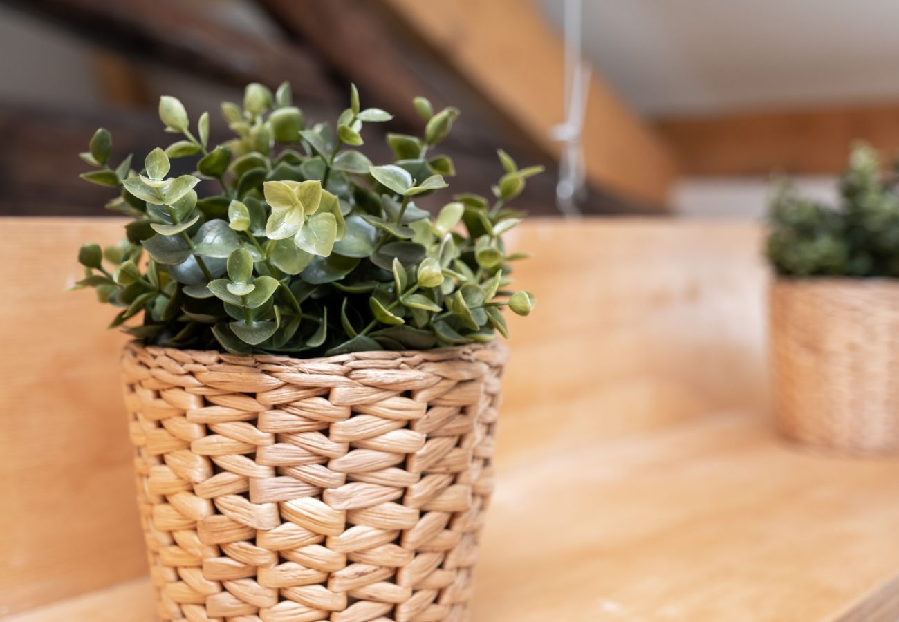 Estudio en Oporto - Nomad's Bonjardim City Flats - Top Floor Estudio en Oporto - Nomad's Bonjardim City Flats - Top Floor