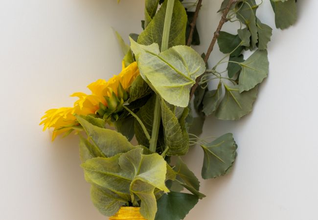 Apartamento en Oporto - Nomad's Netto & Subway - Lovely Terrace Apartamento en Oporto - Nomad's Netto & Subway - Lovely Terrace