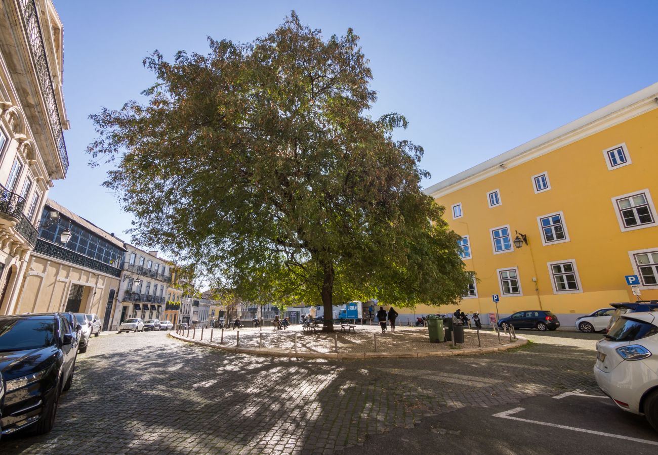 Apartment in Lisbon - Nomad's Fine Arts in Chiado Apartment in Lisbon - Nomad's Fine Arts in Chiado