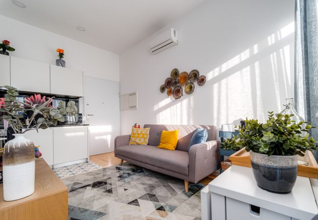 Studio in Porto - Nomad's Netto & Subway - Romantic Terrace Studio in Porto - Nomad's Netto & Subway - Romantic Terrace