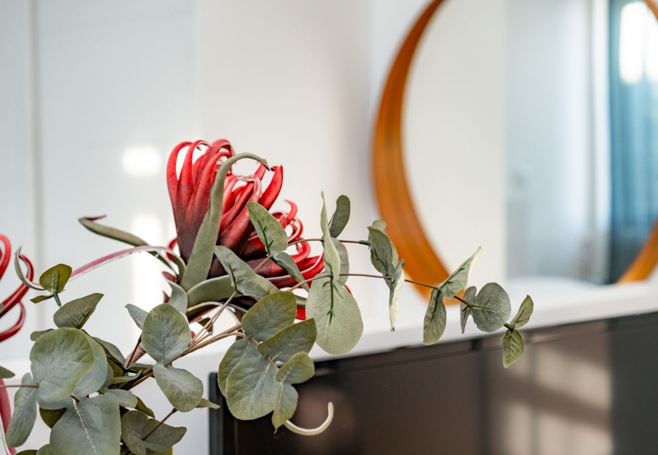 Studio in Porto - Nomad's Netto & Subway - Romantic Terrace Studio in Porto - Nomad's Netto & Subway - Romantic Terrace