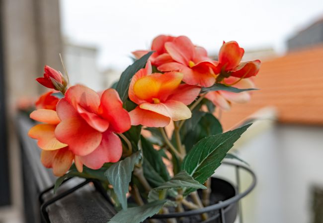 Apartment in Porto - Nomad's Netto & Subway - Sunny Balcony Apartment in Porto - Nomad's Netto & Subway - Sunny Balcony