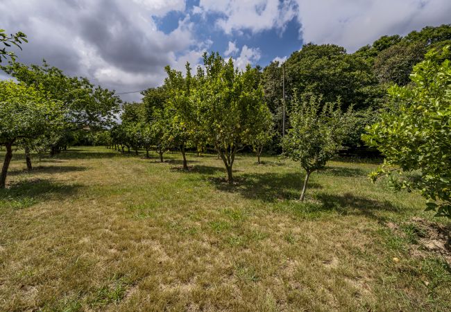 Villa in Santa Maria da Feira - Nomad's Country - 4BDR Casa de Macieira Villa in Santa Maria da Feira - Nomad's Country - 4BDR Casa de Macieira