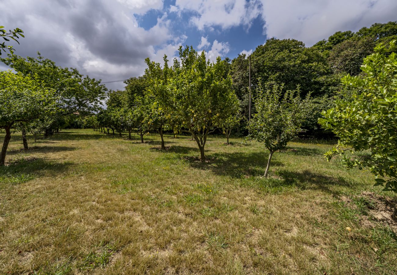 Villa in Santa Maria da Feira - Nomad's Country - 4BDR Casa de Macieira Villa in Santa Maria da Feira - Nomad's Country - 4BDR Casa de Macieira