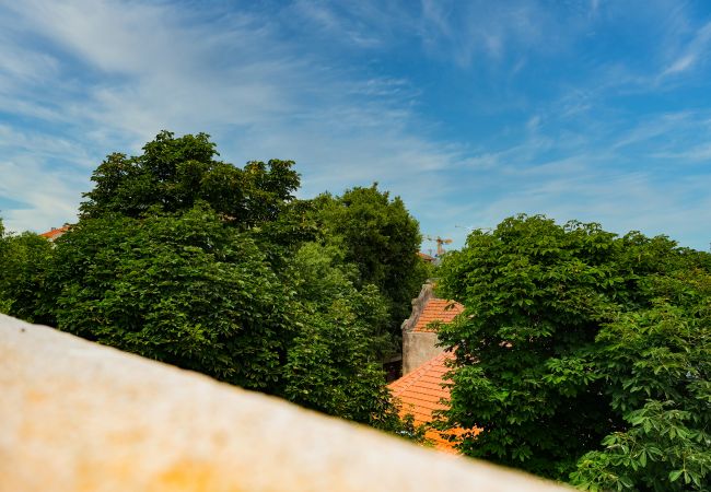 Apartamento em Porto - Nomad's Nest in Bonfim - 1BED Balcony & View Apartamento em Porto - Nomad's Nest in Bonfim - 1BED Balcony & View