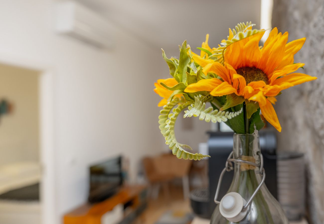 Apartamento em Porto - Nomad's Netto & Subway - Lovely Terrace