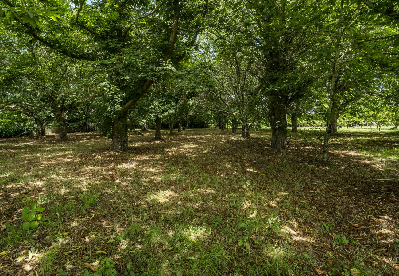 Villa in Santa Maria da Feira - Nomad's Family - 4BDR Country House Macieira
