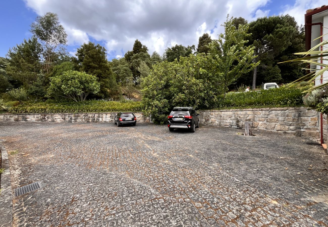 Farm stay in Pedraça - Nomad's Country - Cimo de Vila Apt IV